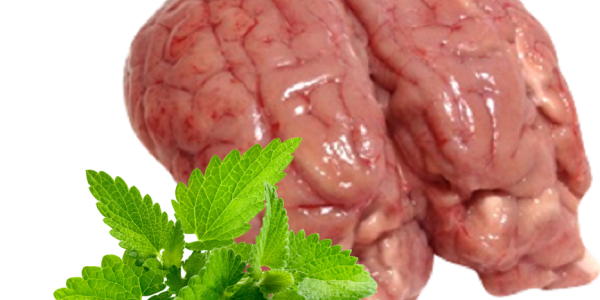 Mutton Brain